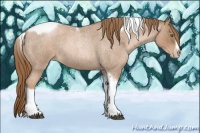 Horse Color:Liver Red Roan Pearl Tobiano Frame