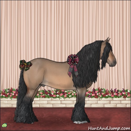 Horse Color:Bay Roan Dun 