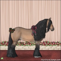 Horse Color:Bay Roan Dun