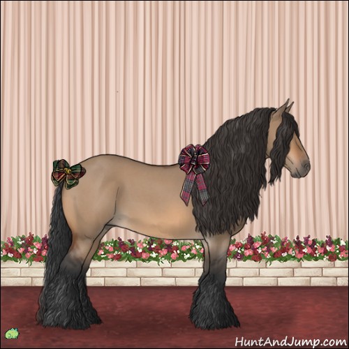 Horse Color:Bay Roan Dun 