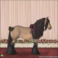 Horse Color:Bay Roan Dun 