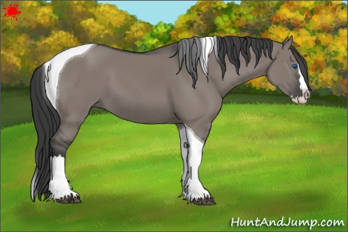 Horse Color:Grullo Splash Tobiano