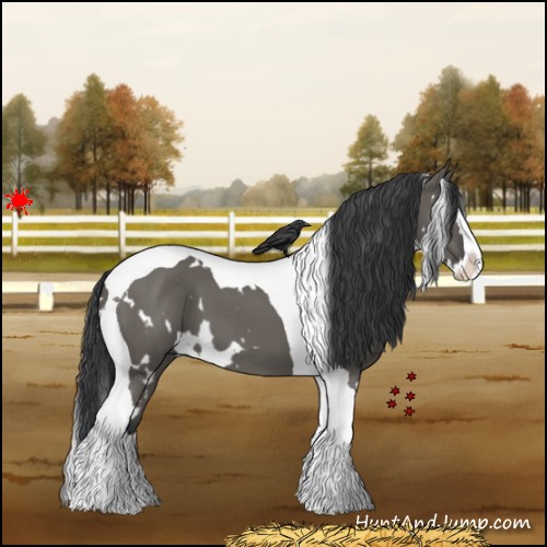 Horse Color:White Spotted Grullo Splash Tobiano