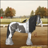 Horse Color:White Spotted Grullo Splash Tobiano