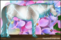 Horse Color:Gray Thunderstruck Chestnut 