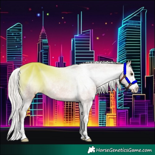 Horse Color:Silver Bay Ice Appaloosa 