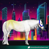 Horse Color:Silver Bay Ice Appaloosa 