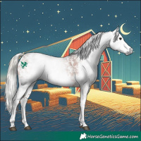 Horse Color:Gray Silver Bay Sabino Rabicano 
