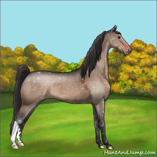 Horse Color:Brown Dun Snowflake Varnish