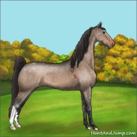 Horse Color:Brown Dun Snowflake Varnish