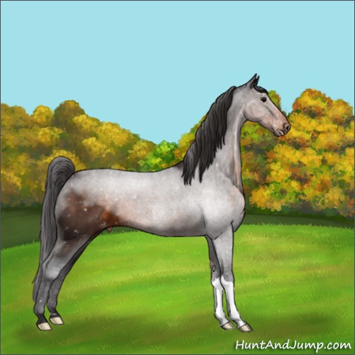 Horse Color:Buckskin Snowcap 