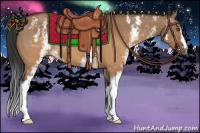 Horse Color:White Spotted Brown Dun