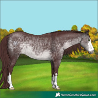 Horse Color:Platinum Chocolate Buckskin 