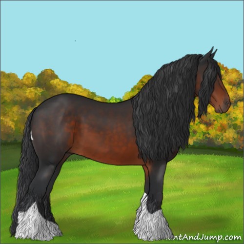 Horse Color:Brown Tobiano