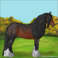 Horse Color:Brown Tobiano 