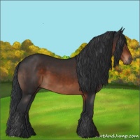 Horse Color:Brown 