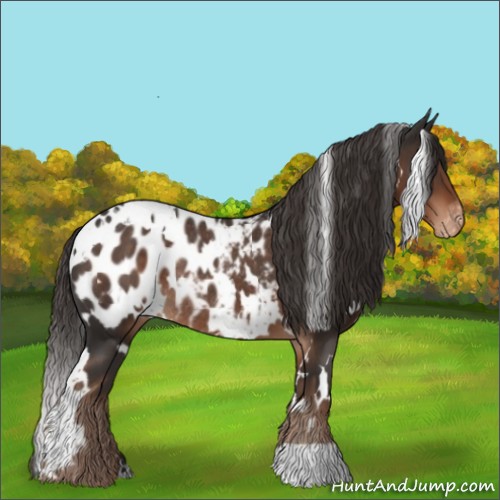 Horse Color:White Spotted Liver Chestnut Blanket Rabicano