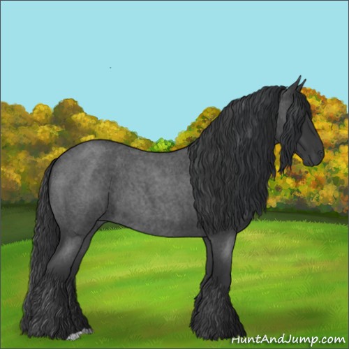 Horse Color:Blue Roan 