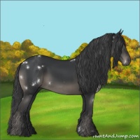 Horse Color:White Spotted Black