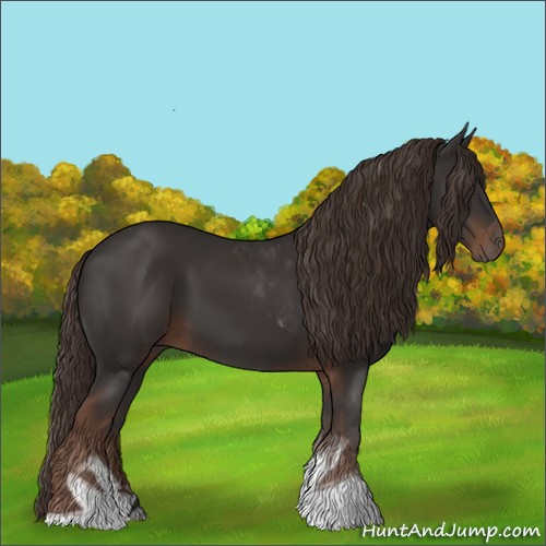 Horse Color:Liver Chestnut Tobiano