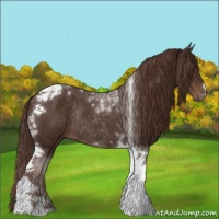 Horse Color:Liver Chestnut Tobiano Rabicano 