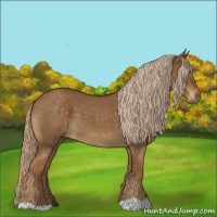 Horse Color:Chocolate Palomino Roan