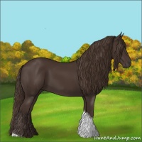 Horse Color:Liver Chestnut Tobiano 