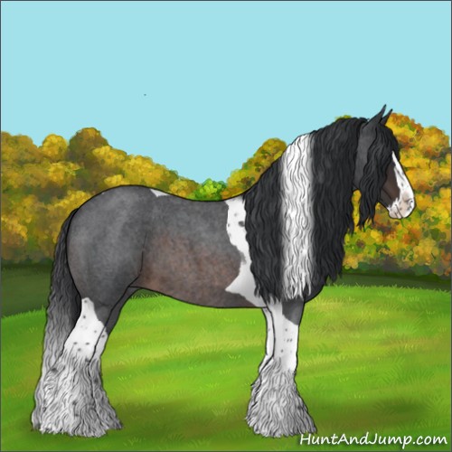 Horse Color:Brown Roan Splash Tobiano 