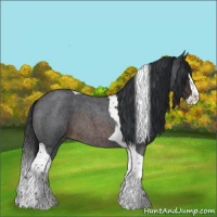 Horse Color:Brown Roan Splash Tobiano