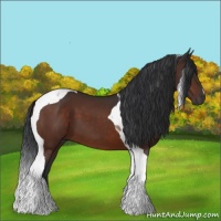 Horse Color:Brown Tobiano