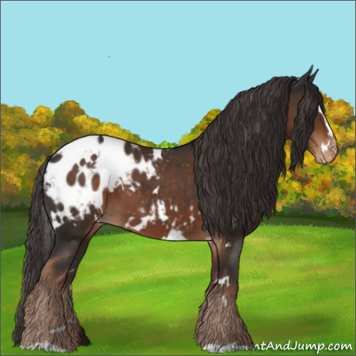 Horse Color:White Spotted Liver Chestnut Sabino Blanket