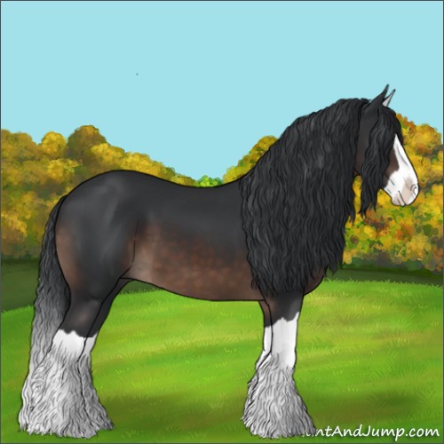 Horse Color:Brown Splash