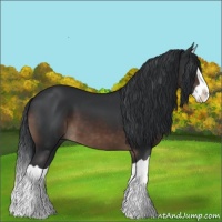 Horse Color:Brown Splash 