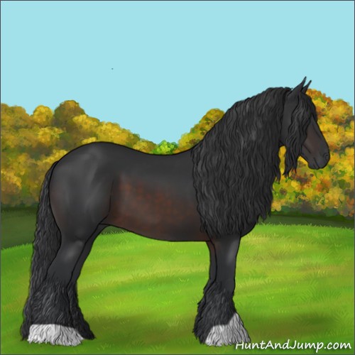 Horse Color:Brown 