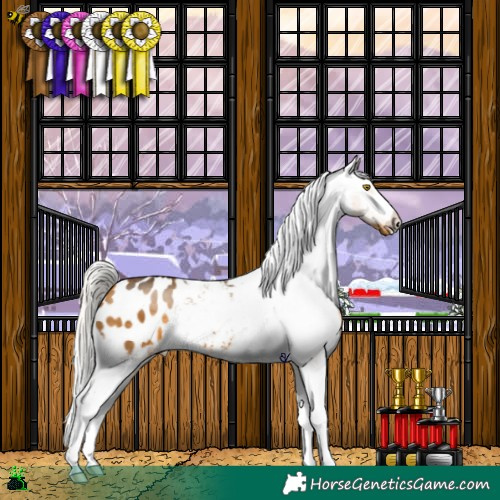 Horse Color:Silver Buckskin Blanket 
