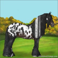 Horse Color:White Spotted Brown Blanket 