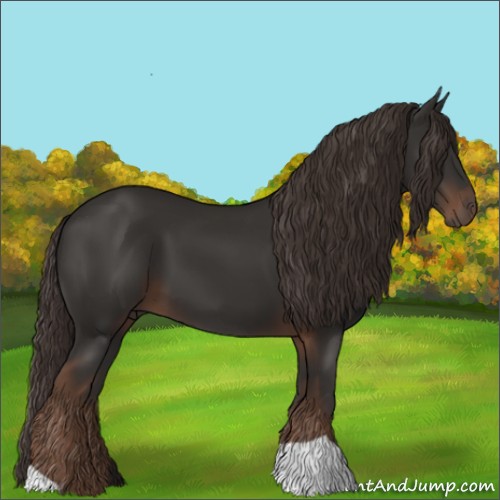 Horse Color:Liver Chestnut 