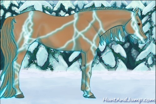 Horse Color:Thunderstruck Chestnut 