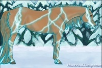 Horse Color:Thunderstruck Chestnut