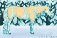 Horse Color:Thunderstruck Palomino 