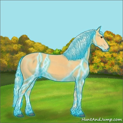 Horse Color:Thunderstruck Palomino