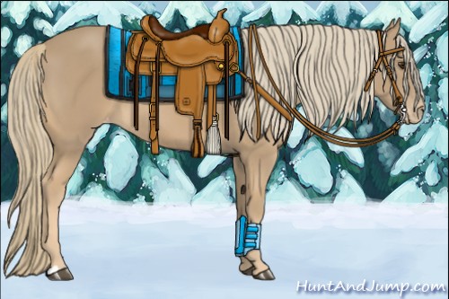 Horse Color:Chestnut Mushroom Appaloosa 