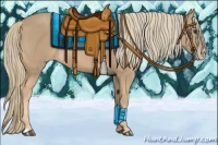 Horse Color:Chestnut Mushroom Appaloosa