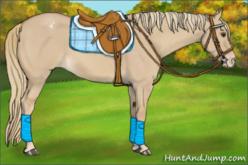 Horse Color:Red Dun Mushroom Varnish 