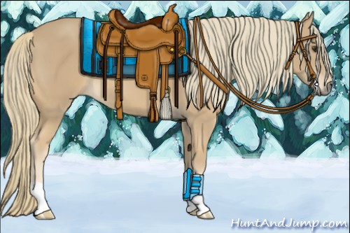 Horse Color:Chestnut Mushroom 