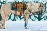 Horse Color:Chestnut Mushroom 