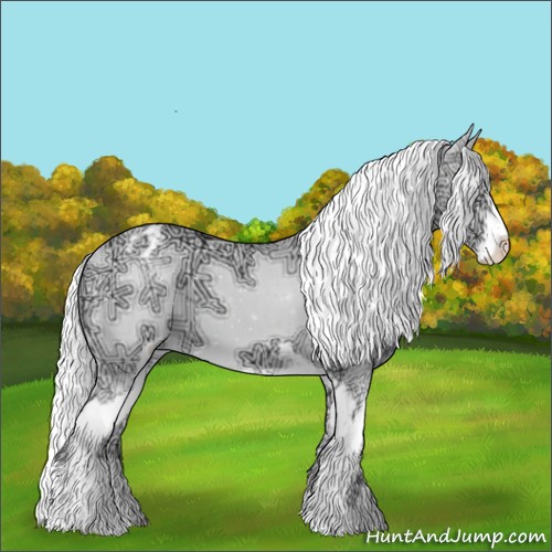Horse Color:Gold Champagne Chinchilla Ice Sabino Appaloosa