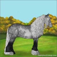 Horse Color:Silver Brown Chinchilla Ice Appaloosa