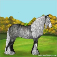 Horse Color:Silver Buckskin Chinchilla Ice Sabino Varnish Rabicano 