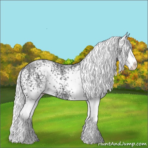 Horse Color:White Spotted Liver Chestnut Chinchilla Ice Sabino Appaloosa 